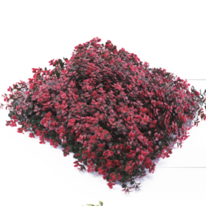 Screenshot 2026 01 10 at 12.04.37 PM