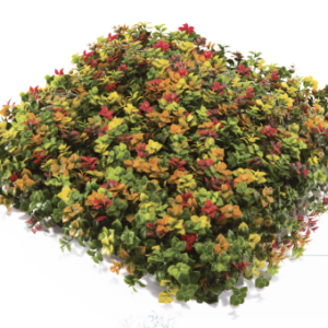 Screenshot 2026 01 10 at 12.08.11 PM