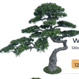 Screenshot 2026 01 10 at 12.12.33 PM