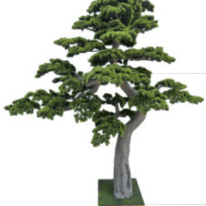 Screenshot 2026 01 10 at 12.14.14 PM