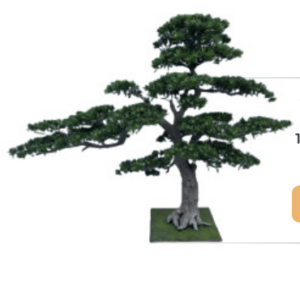 Screenshot 2026 01 10 at 12.16.09 PM