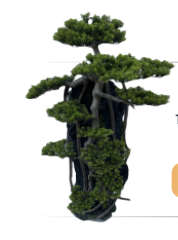 Screenshot 2026 01 14 at 4.19.45 PM