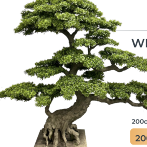 Screenshot 2026 01 14 at 4.19.58 PM