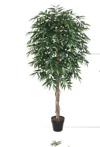 Screenshot 2026 01 14 at 4.29.19 PM