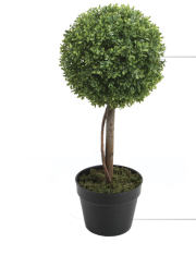 Screenshot 2026 01 14 at 4.29.28 PM