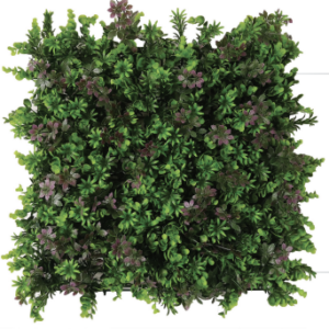 Screenshot 2026 01 14 at 4.35.13 PM