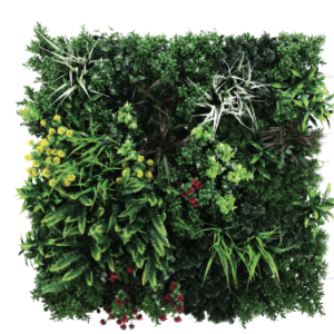 Screenshot 2026 01 14 at 4.35.48 PM