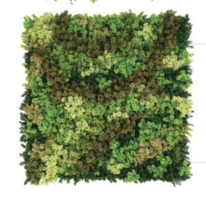 Screenshot 2026 01 14 at 4.44.56 PM